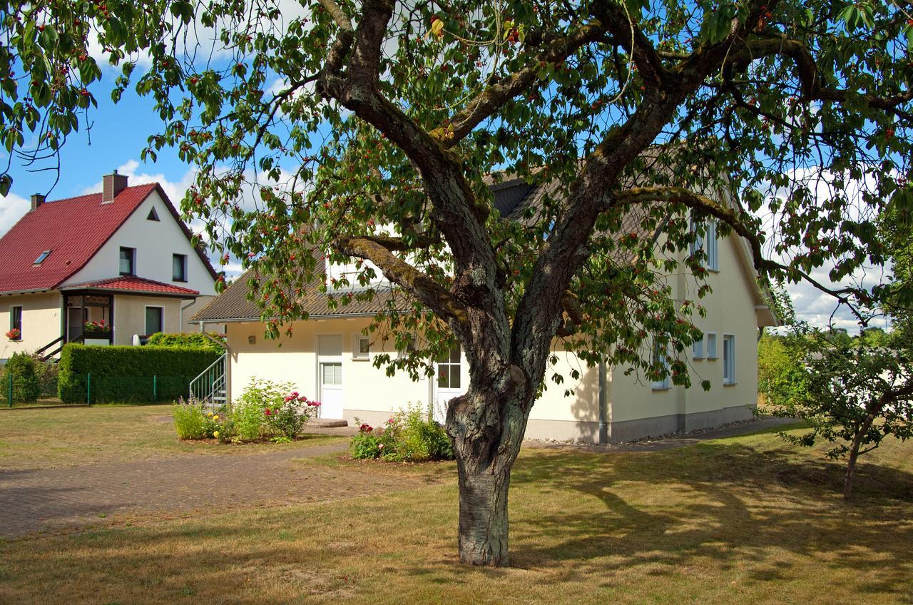 Sonnenhus - Ruegen Apartment Sellin  Luaran gambar